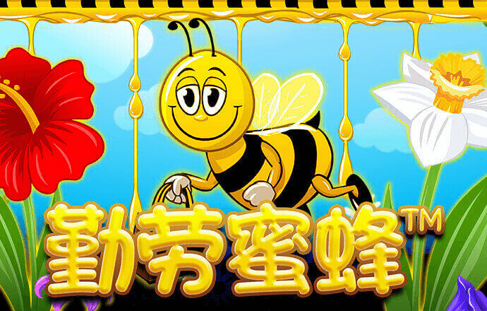 88体育app免费下载